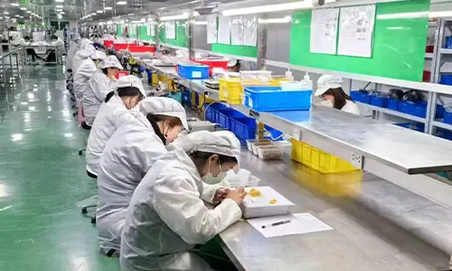 slip ring brush assembly