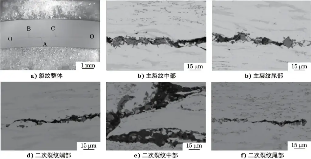 SEM morphology of cracks in AgCuV alloy conductive slip ring