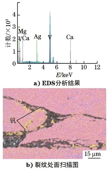 EDS analysis results of particulate matter